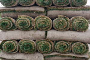 Tips for Laying Down Sod