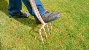 How to Aerate Your Lawn and Fight Off the Threat of Thatching