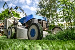 Lawn Mowing Season: How to Do It Better 