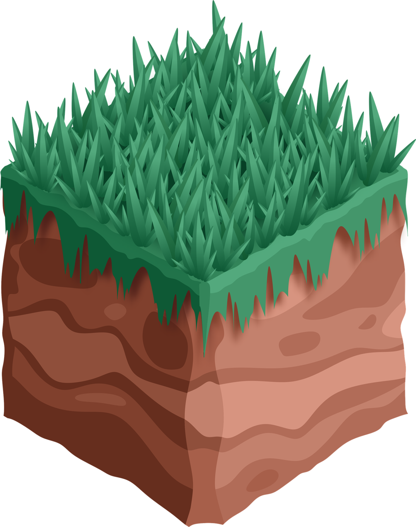 Sod Production A Look at How We Produce Our Sod Quantico Creek Sod Farms