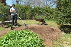 A Look at Various Ways to Perform Lawn Seeding