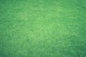 Here are some suggestions on properly caring for your Zoysia sod lawn for a perfectly manicured yard. 