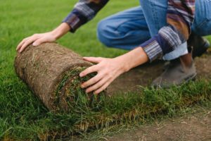 quantico sod farm sod supplier