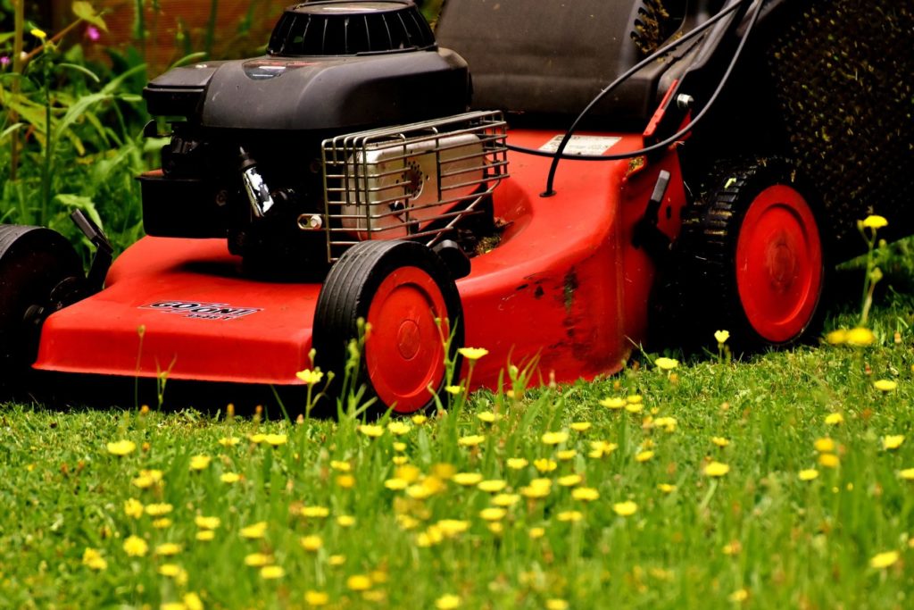 The Summer Timeline Of Lawn Maintenance Quantico Creek Sod Farms