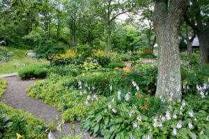 6 Tips to Make An Eco-Friendly Backyard Landscape Quantico & Creek
