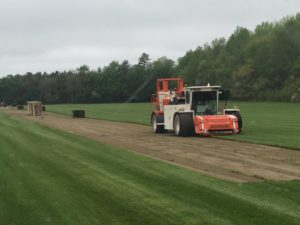 How to Care for Newly Placed Sod quantico creek