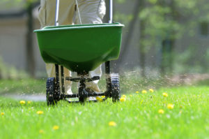 Quantico Creek Sod Farm May Lawn Care