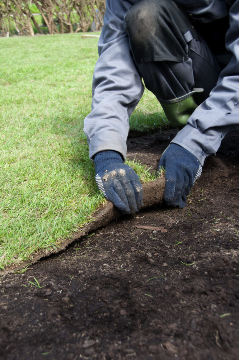 5 Reasons to Choose Sodding Over Seeding Quantico Creek Sod Farms