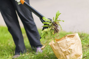 Quantico Creek Sod Farms Weed Control