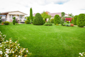 Quantico Creek Sod Farms Lush Lawn