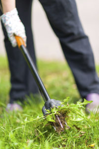 Quantico Creek Sod Farms Weed Management