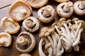 Quantico Creek Mushrooms Lawn