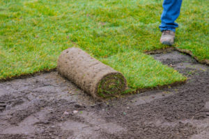 Can You Lay Sod in the Winter? quantico creek sod