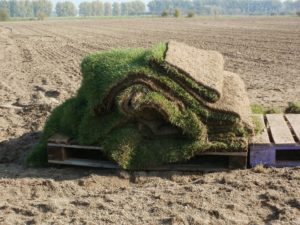 Preparing Your Lawn for New Sod quantico creek sod