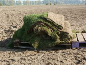 How to Store Your Sod quantico creek sod