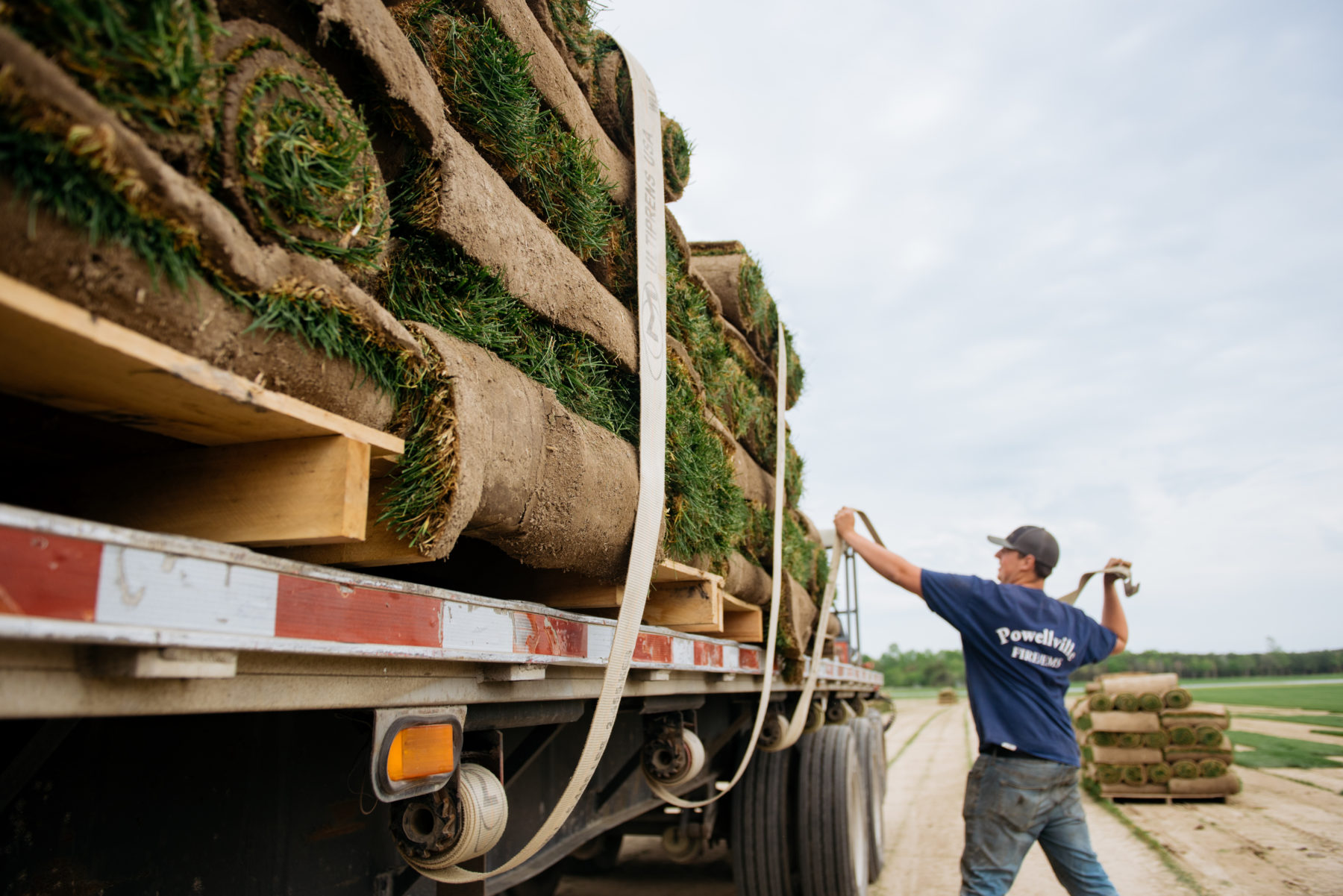 Can New Sod Increase Your Property Value? quantico creek