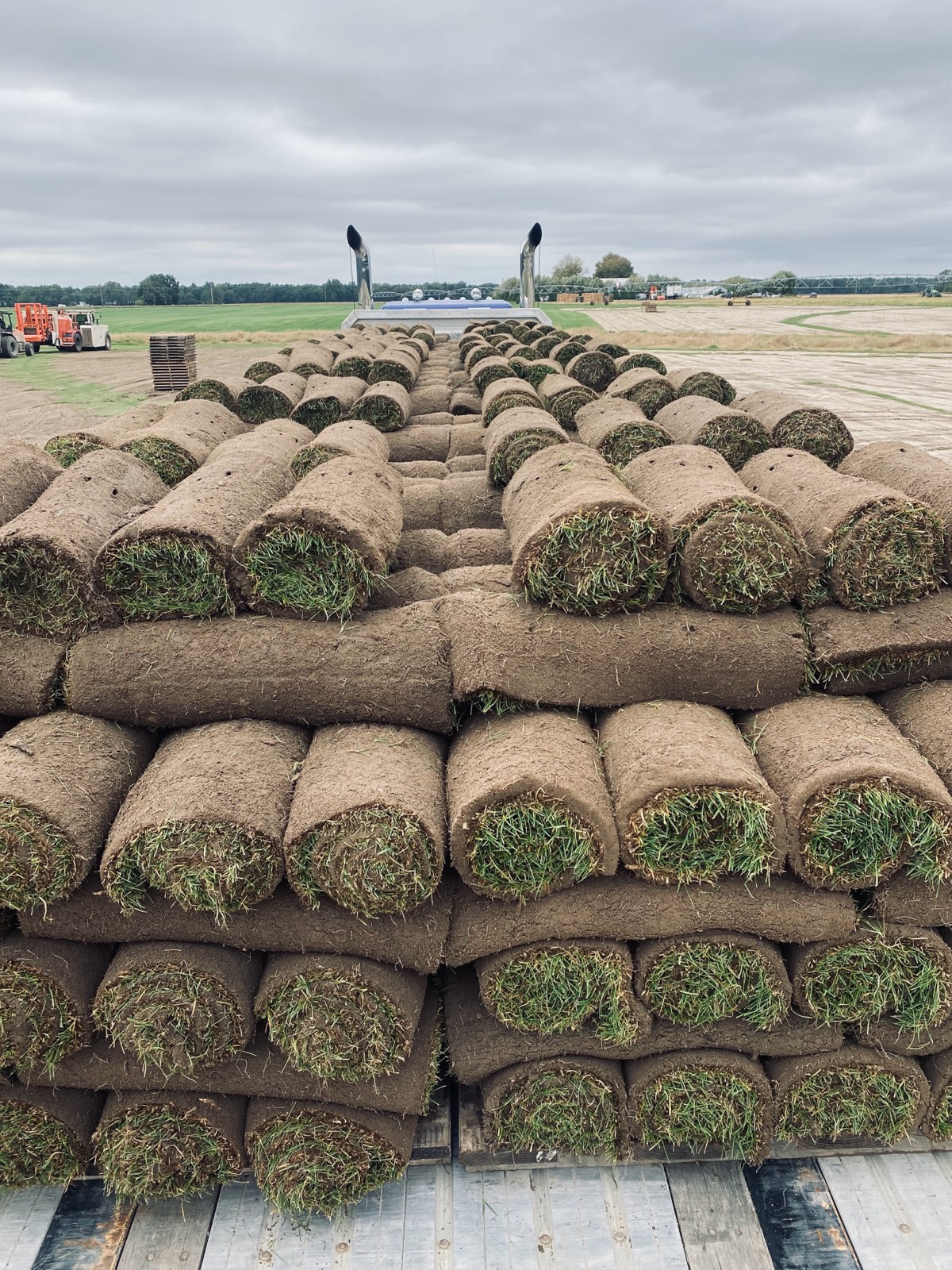 Preparing for a New Sod Delivery quantico creek sod