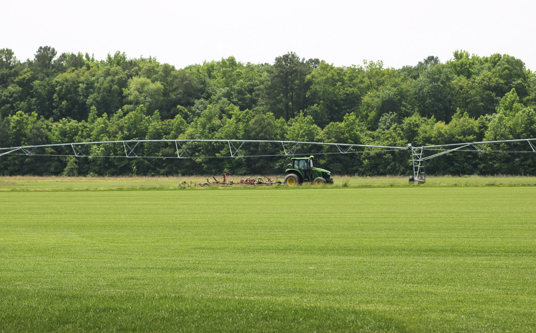 Tips for Watering New Sod quantico creek sod