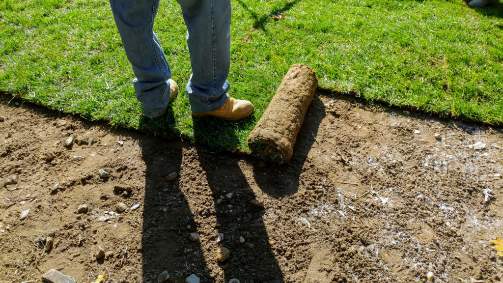 How to Lay Down Grass Sod quantico creek sod