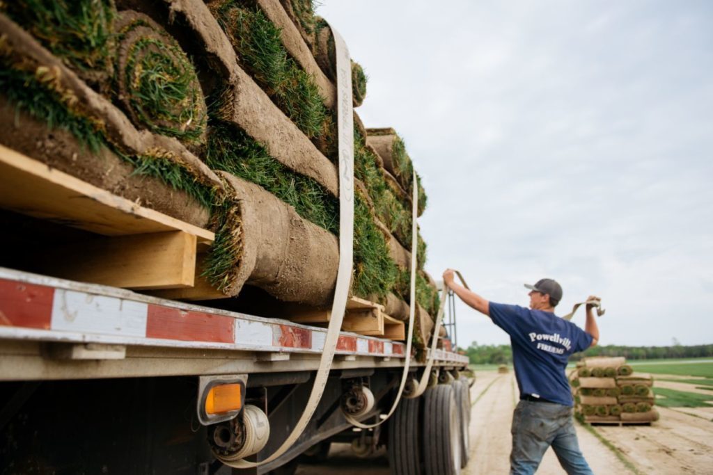 Benefits of Commercial Sod Installation quantico creek sod