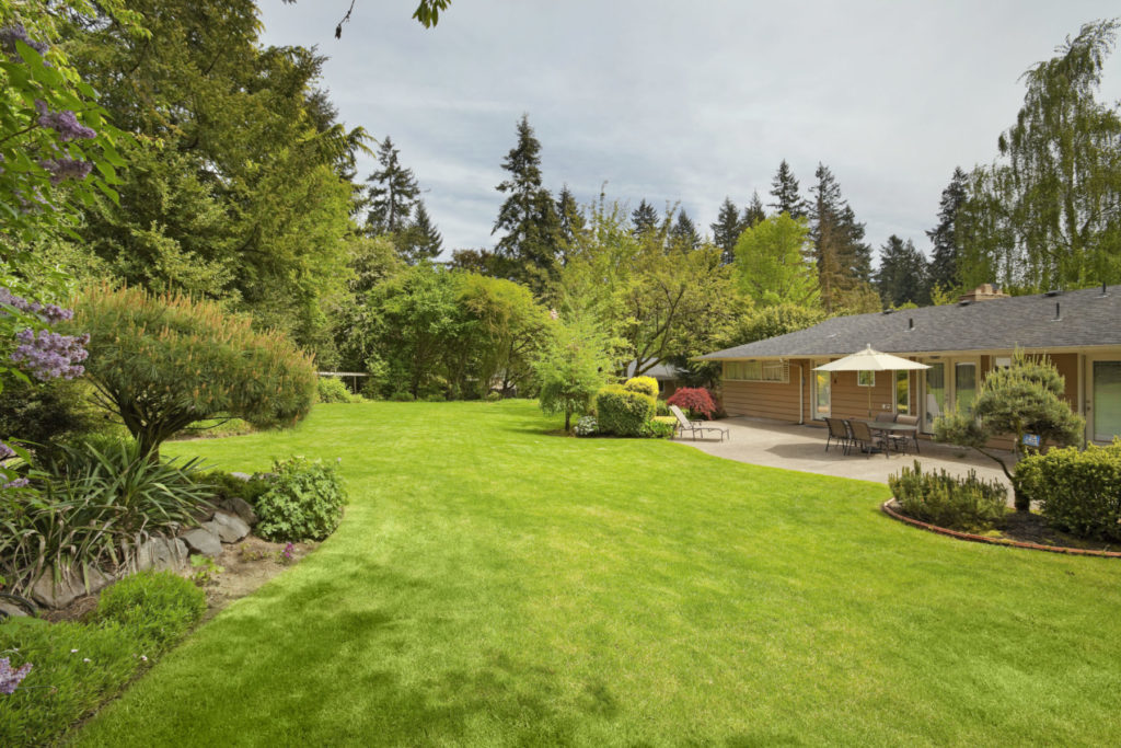 Understanding the Benefits of Fescue Sod quantico creek sod