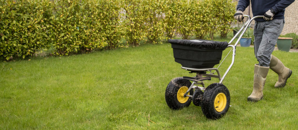 Fertilizing Your Lawn this Fall quantico creek sod