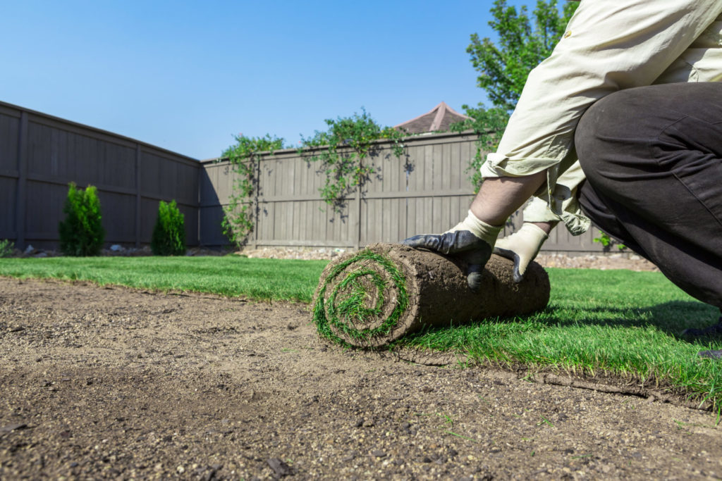 Repairing Bare Spots in Your Lawn quantico creek sod