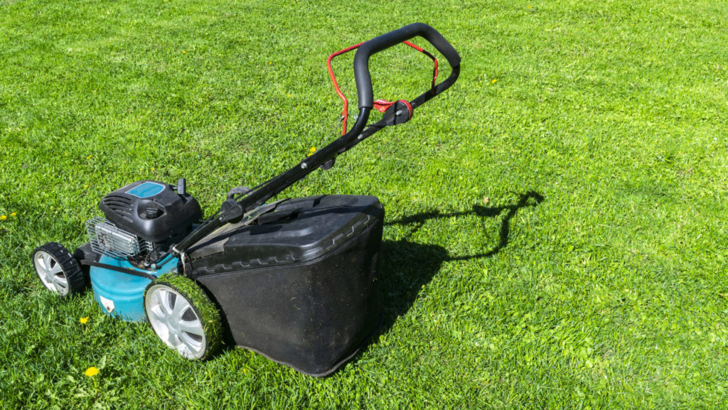 Maintenance Tips for Brand New Sod quantico creek sod