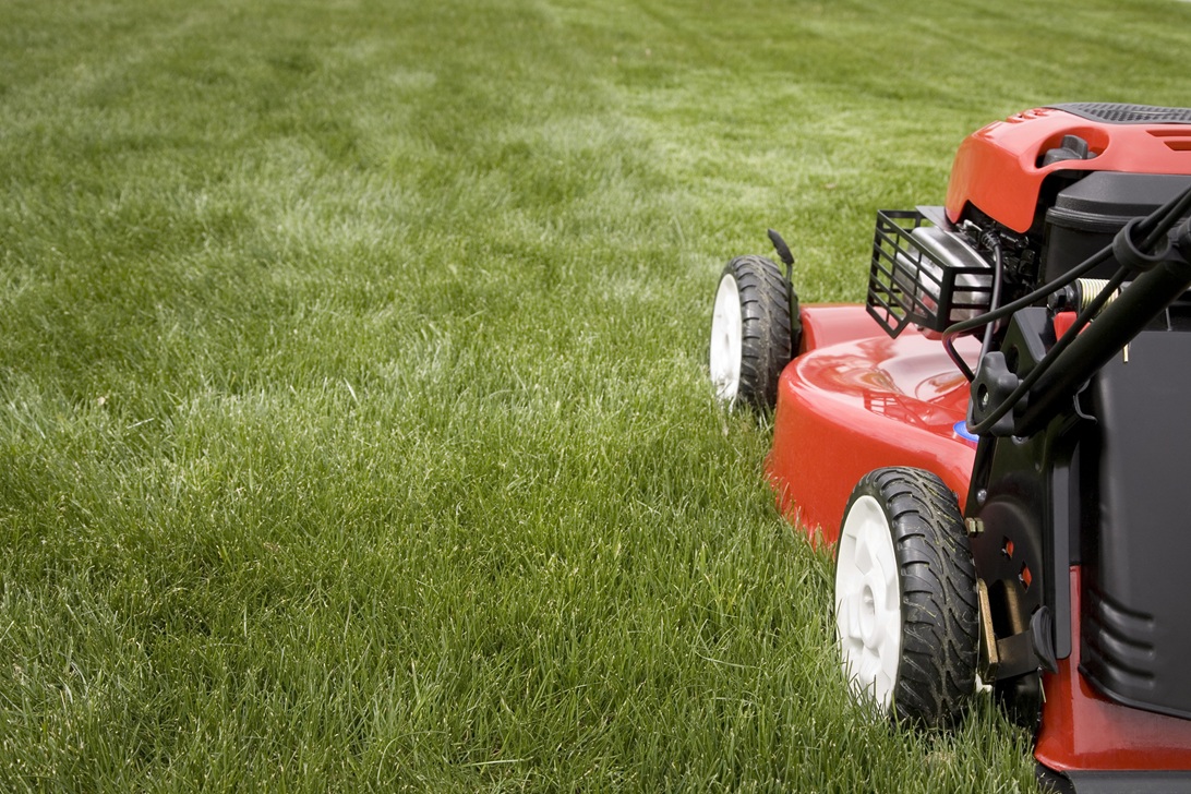 When Should You Avoid Mowing Your Lawn? quantico creek sod