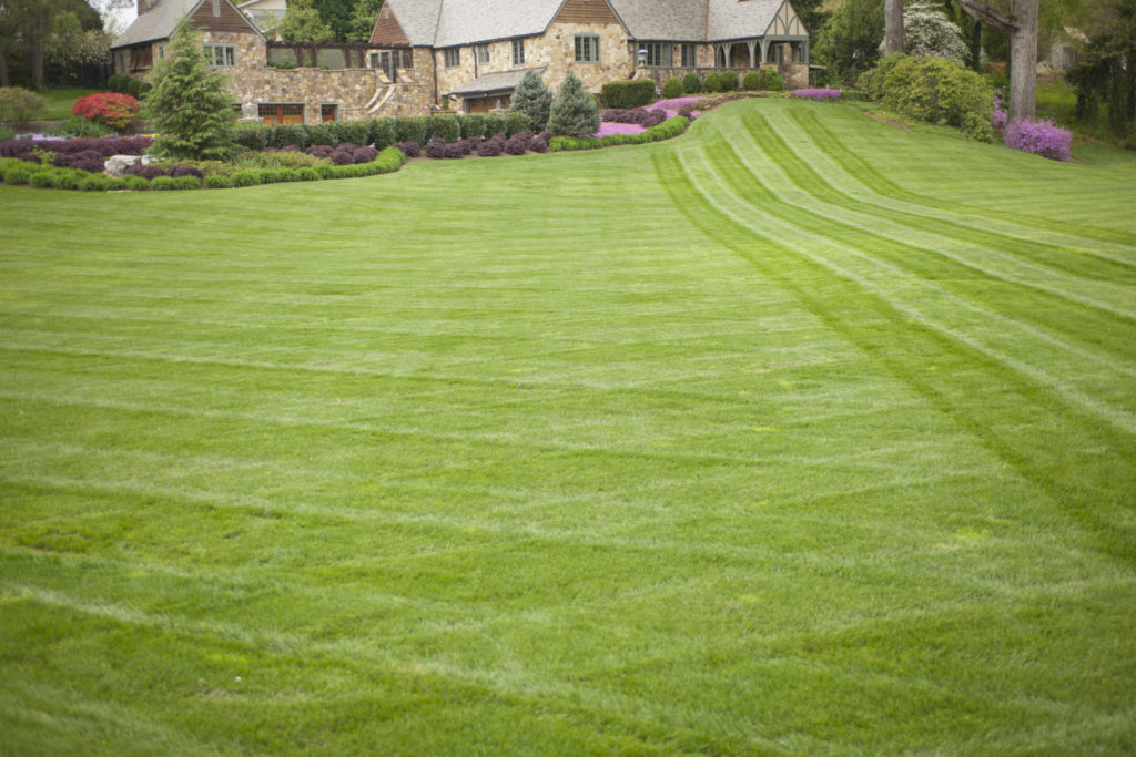 Using Different Grass Types on One Property quantico creek sod
