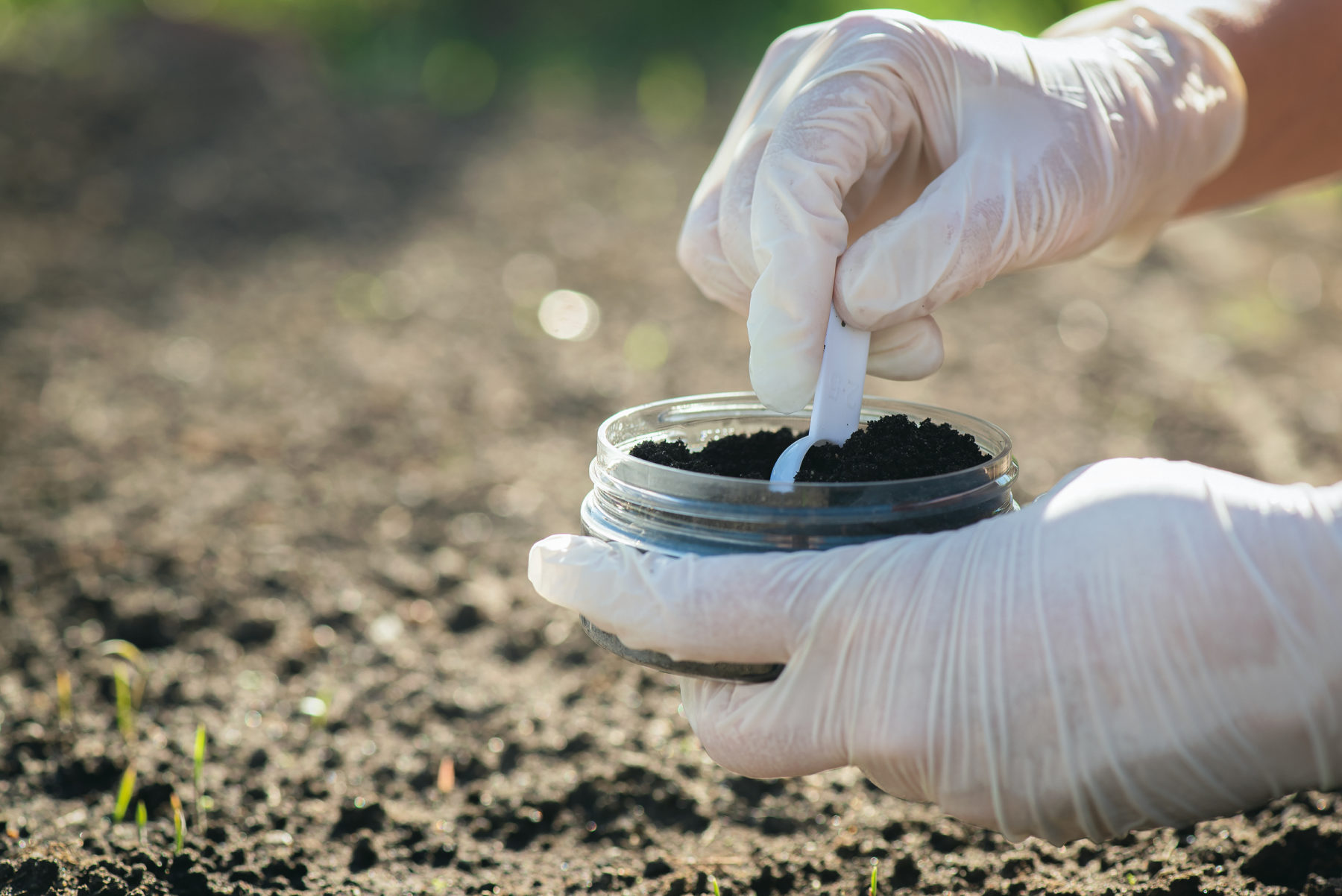 How Sod Improves Soil Stability quantico creek sod